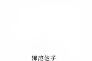 时间线更多作品信源追踪封面，节点连线